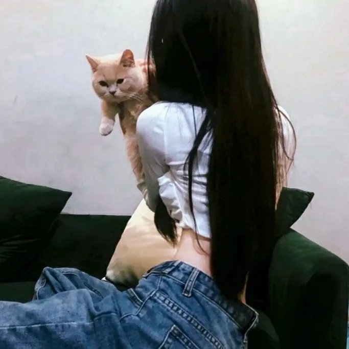 楼下的女人和楼上的男人